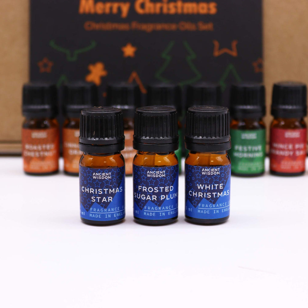 Festive Delights – Vánoční sada vonných olejů 12 × 5 ml
