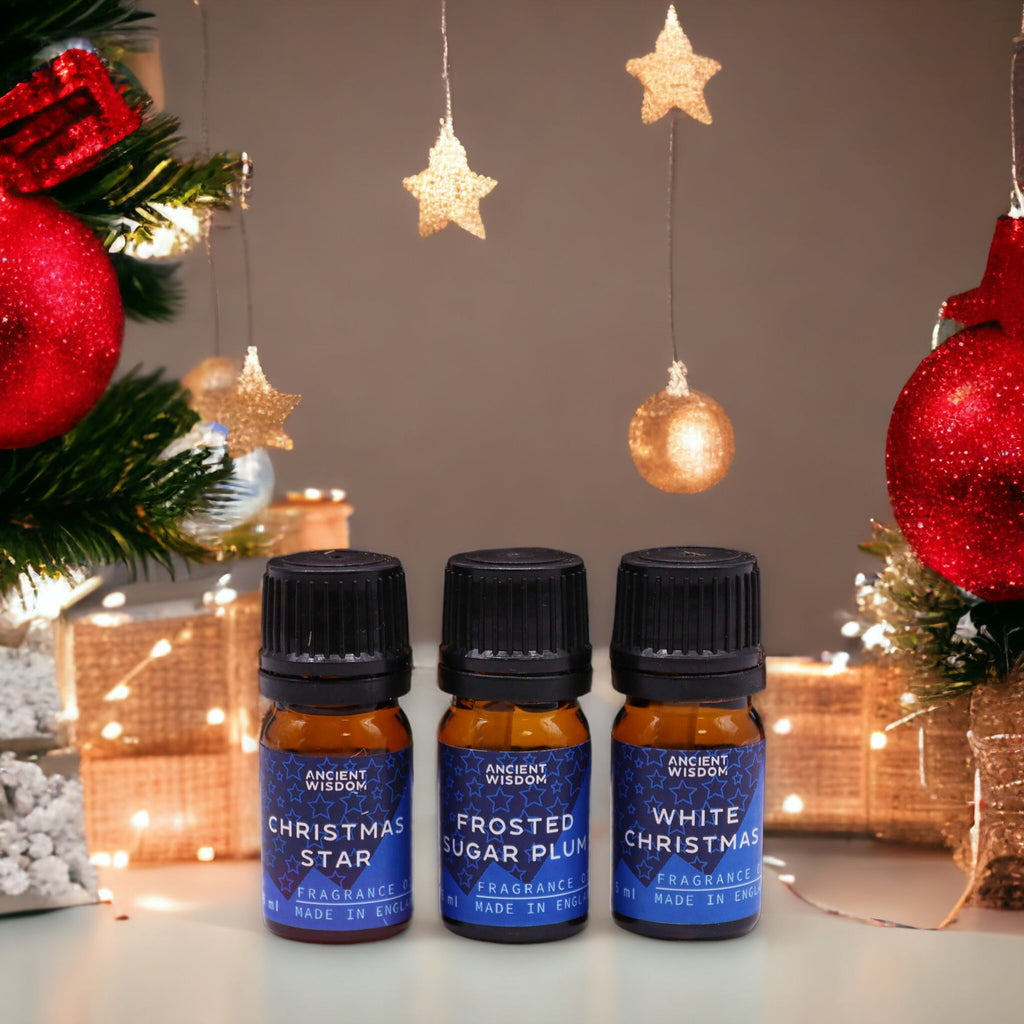 Festive Delights – Vánoční sada vonných olejů 12 × 5 ml