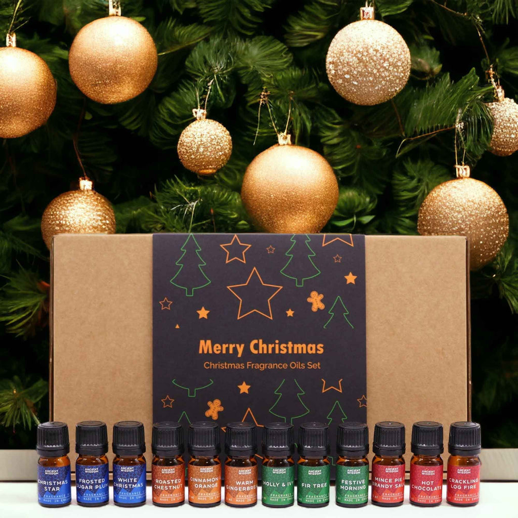 Festive Delights – Vánoční sada vonných olejů 12 × 5 ml