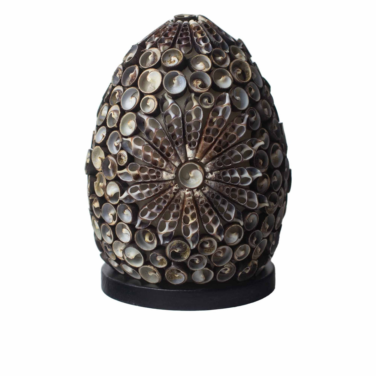 AW Dropship Europe Ručně vyráběná lampa z mořských mušlí Chocolate Twist Oval 15 cm