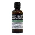 Kajeput – esenciální olej 50 ml