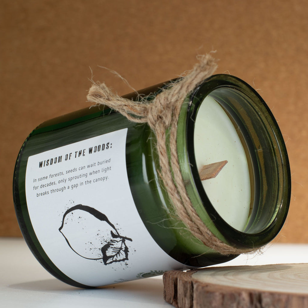 Lesní sójová svíčka s vůní pryskyřice a praskajícím dřevěným knotem – Greenman Forest Resin