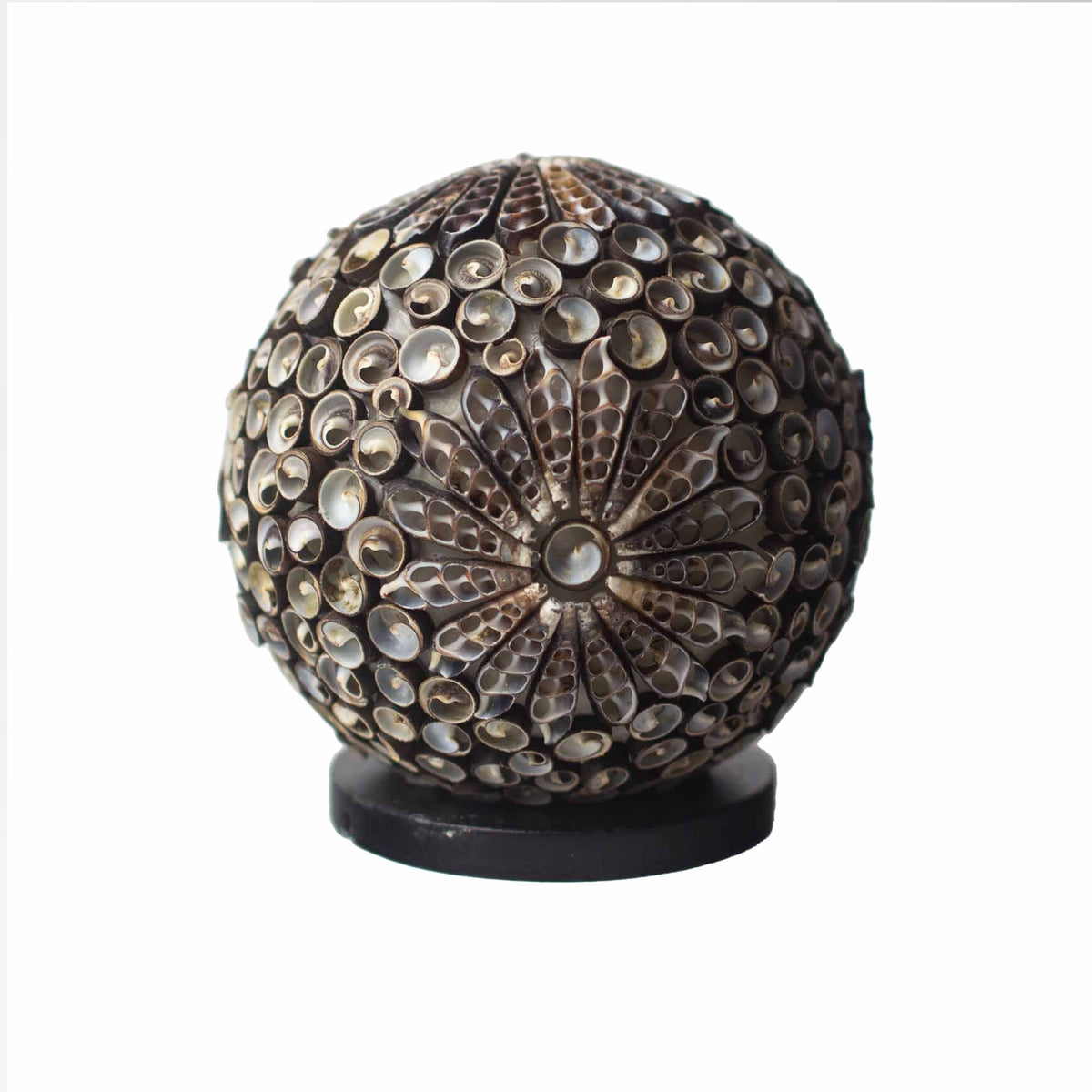 Boho Sea Shell – Ručně vyráběná lampa z mořských mušlí Chocolate Twist Globe 15 cm