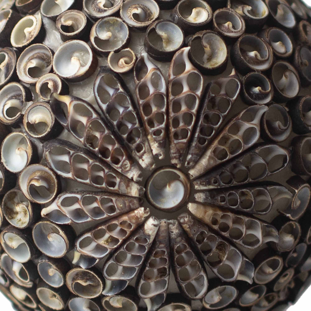 Boho Sea Shell – Ručně vyráběná lampa z mořských mušlí Chocolate Twist Oval 20 cm